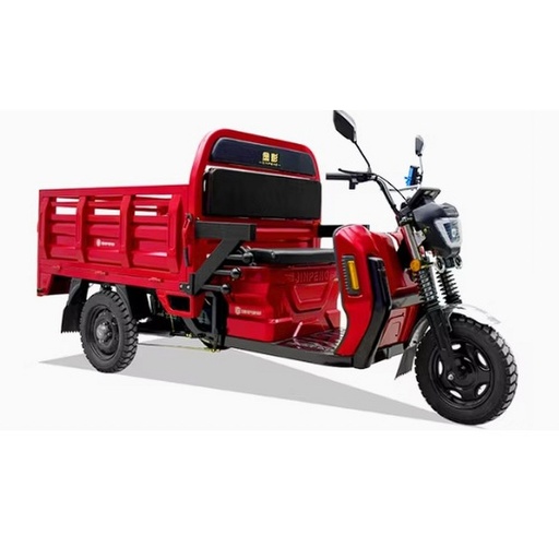 Triciclo Eléctrico